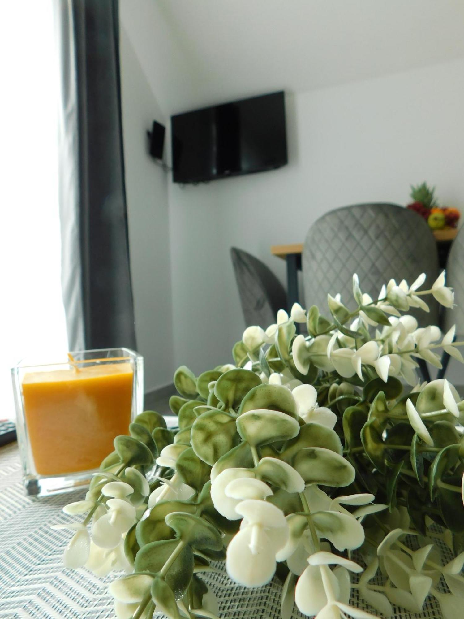 Apartman Nativis Otočac Buitenkant foto
